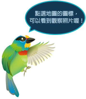 圖標說明